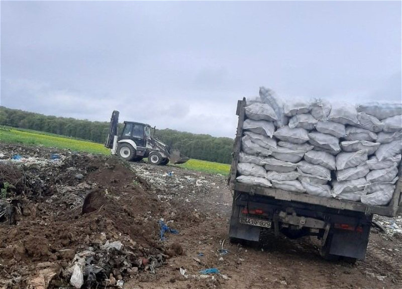 Уничтожено около 24 тонн зараженного картофеля, импортированного из Ирана