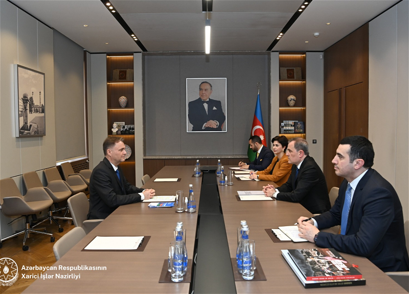 Глава МИД АР встретился с главой Бакинского офиса Совета Европы