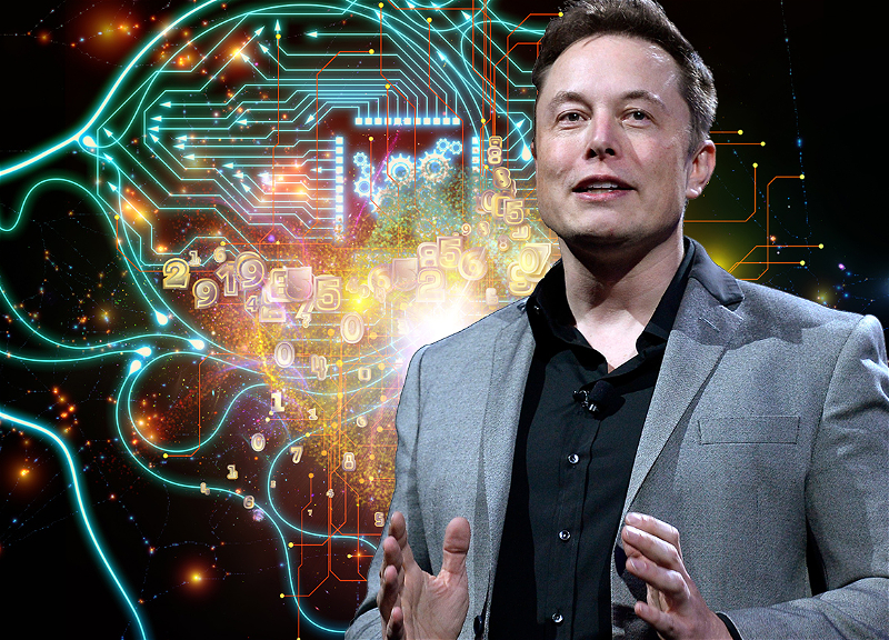 Илон Маск начал разрабатывать собственный искусственный интеллект
