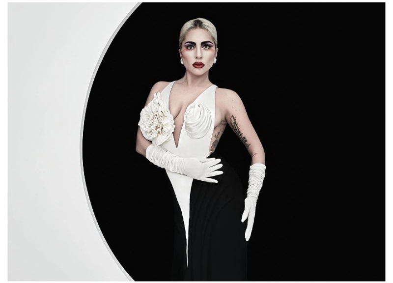 Леди Гага назначена на должность в Белом доме