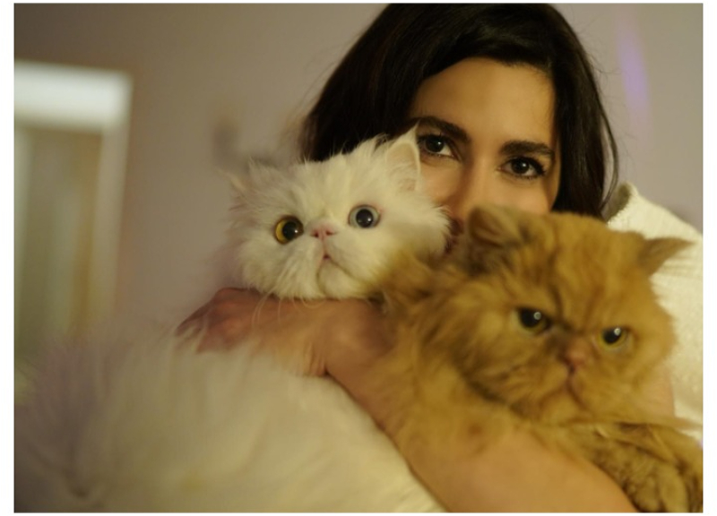 У Несрин Джавадзаде конфликт с соседями из-за 15 кошек? Комментарий актрисы – ФОТО