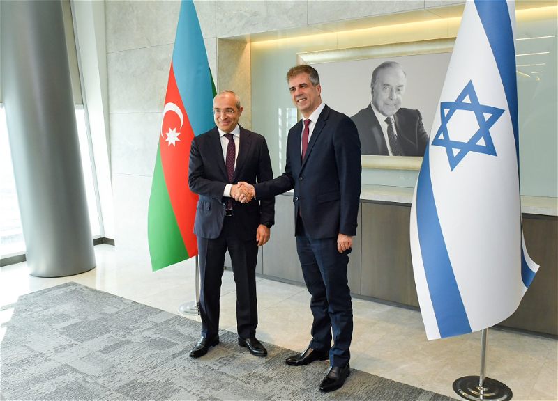 Азербайджан и Израиль обсудили перспективные проекты - ФОТО