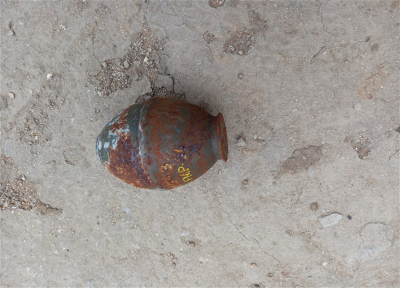 В Баку обнаружены ручные гранаты - ФОТО - ВИДЕО