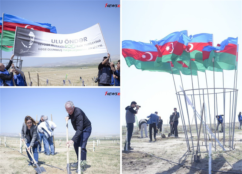 Представители СМИ присоединились к акции по посадке деревьев в связи со 100-летним юбилеем Гейдара Алиева – ФОТО