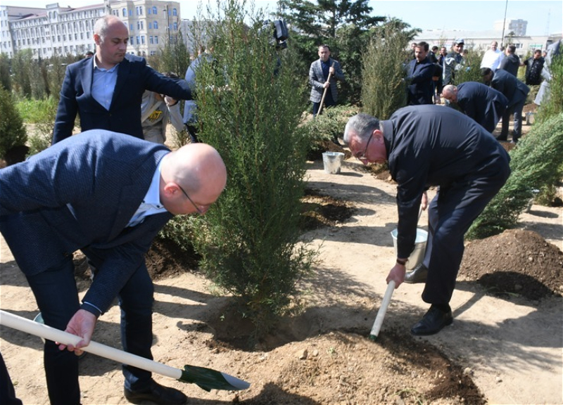 Heydər Əliyevin 100 illik yubileyi ilə əlaqədar ağacəkmə aksiyası keçirilib - FOTO