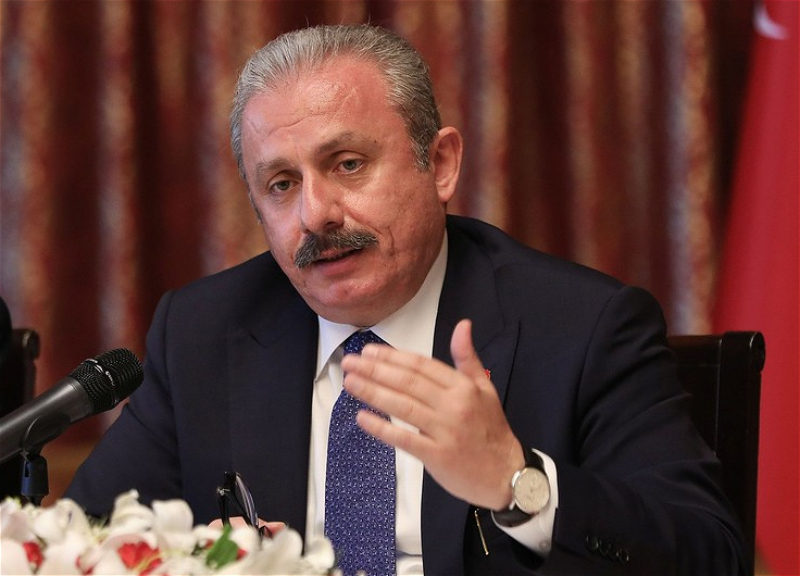 Шентоп о первых в истории переговорах спикеров парламентов Турции и Армении