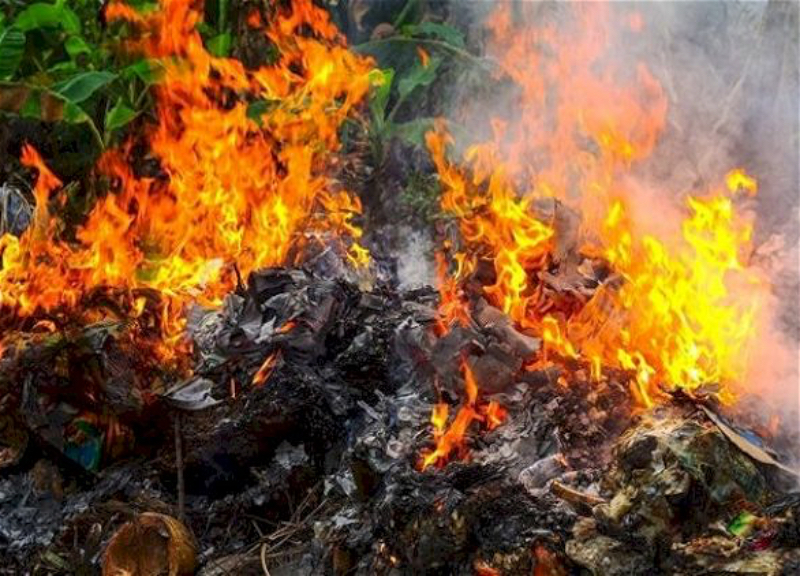 Müşfiqabadda kabel və plastik tullantıları yandıran şəxs cərimələnib