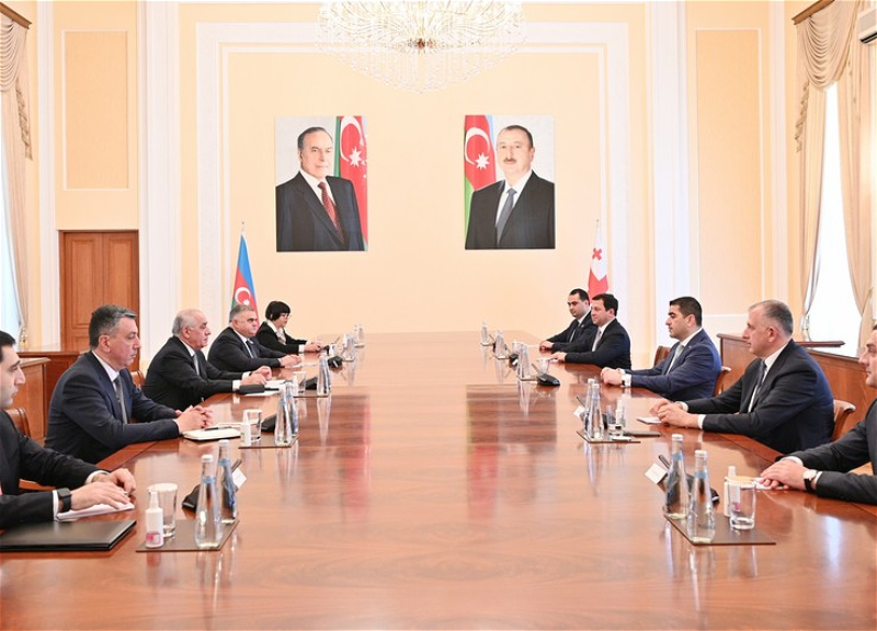 Али Асадов встретился с председателем парламента Грузии
