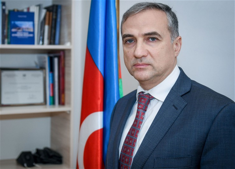 Фарид Шафиев: В результате деятельности Азербайджана возросло значение Движения неприсоединения