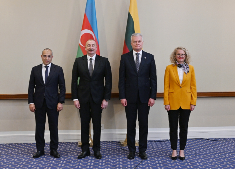 В Вильнюсе состоялся азербайджано-литовский бизнес-форум - ФОТО