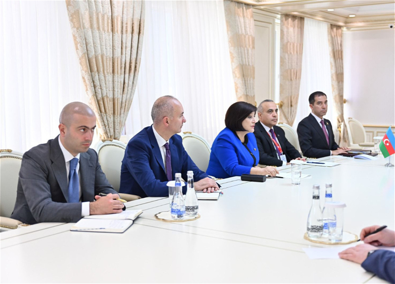Сахиба Гафарова встретилась с президентом Парламентской ассамблеи ОБСЕ - ФОТО