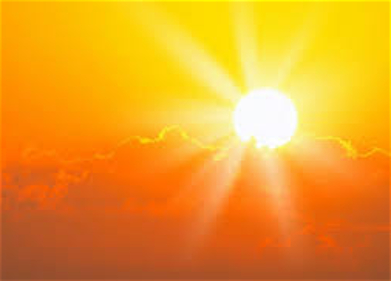 Смертельная жара накроет около трети Земли