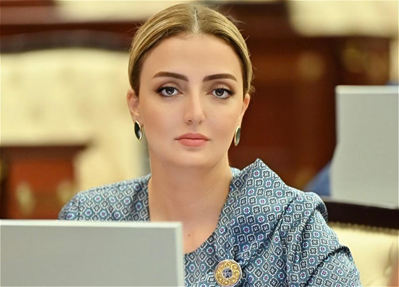 Könül Nurullayeva: Etibarlı, təhlükəsiz və faydalı tərəfdaşlıq