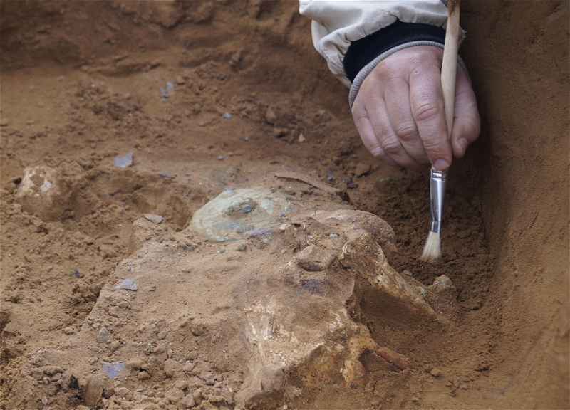 Древнейшую человеческую стоянку нашли на юге Греции