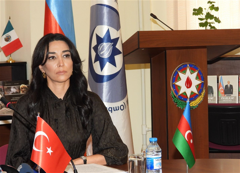 Омбудсмен Азербайджана призвала мировое сообщество принять необходимые меры против Армении
