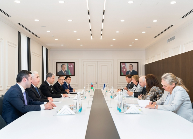 МВД Азербайджана и Совет Европы наладили тесные связи и деловое сотрудничество