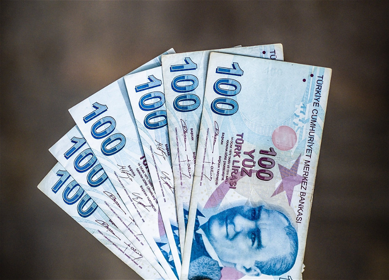 Турецкая лира упала до рекордного минимума на фоне формирования нового правительства
