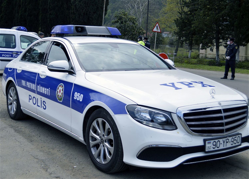 DYP kənd təsərrüfatı sahəsində çalışan hüquqi və fiziki şəxslərə müraciət edib