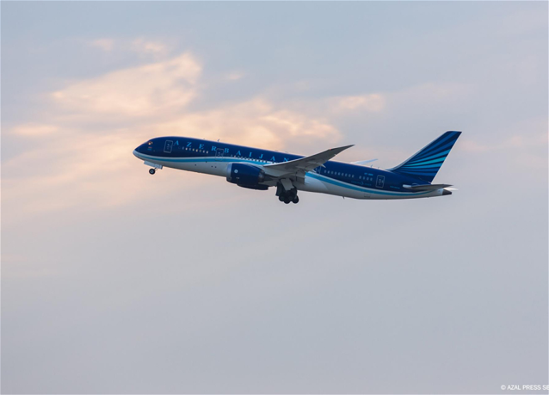 AZAL обратился к пассажирам, планирующим перелеты между Баку и Нахчываном - ФОТО