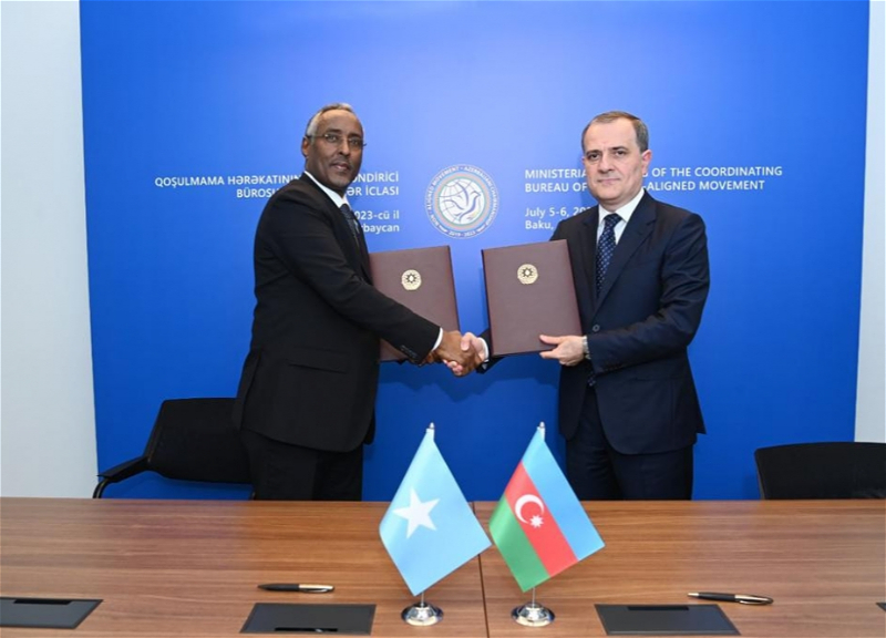 Обсуждены перспективы сотрудничества между Азербайджаном и Сомали - ФОТО
