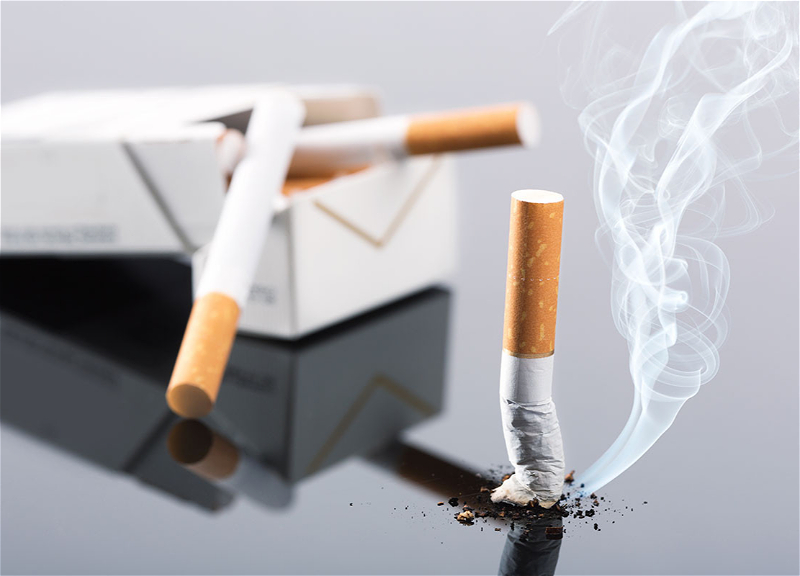 Эксперт Минздрава: Употребление табака, наряду с легкими, серьезно повреждает и другие органы человека