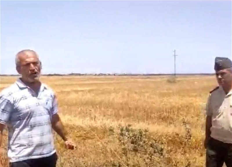 Masallıda taxıl sahəsinin xüsusi qurğu vasitəsilə qəsdən yandırılması faktı aşkarlanıb - VİDEO