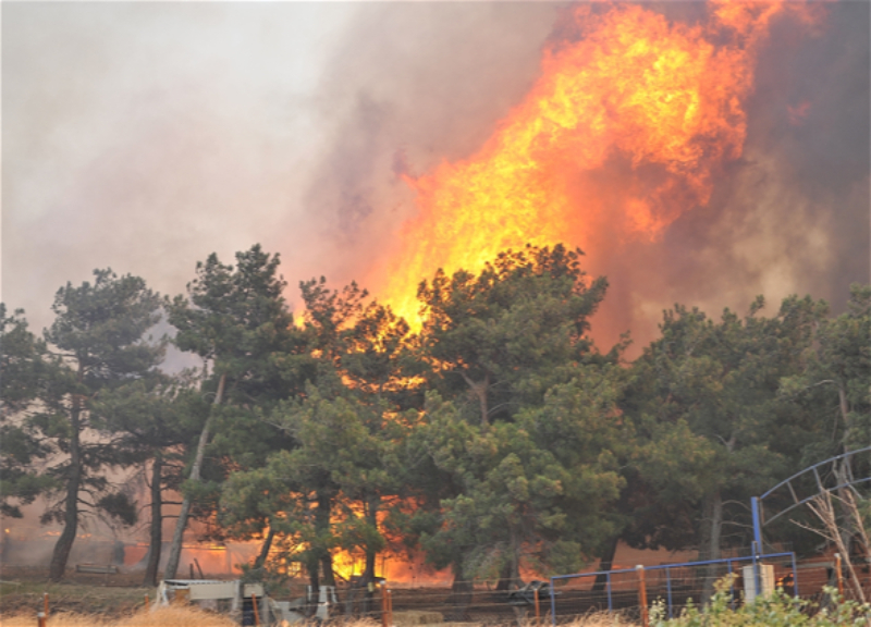 В Турции лесные пожары полыхают уже 38 часов, жителей сел эвакуируют в безопасные районы - ФОТО