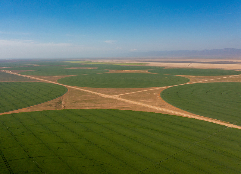 “Agro Dairy” şirkəti hansı torpaqları bərpa edir? - FOTO
