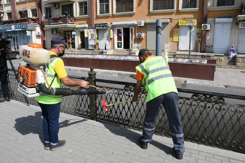 Фото субботника в городе