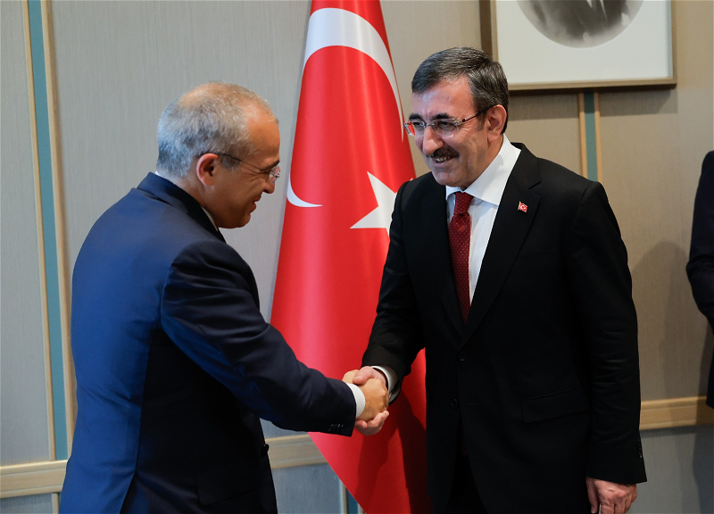 Вице-президент Турции принял Микаила Джаббарова - ФОТО
