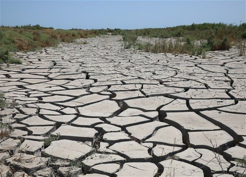 Жителей Стамбула призвали экономить воду из-за угрозы засухи