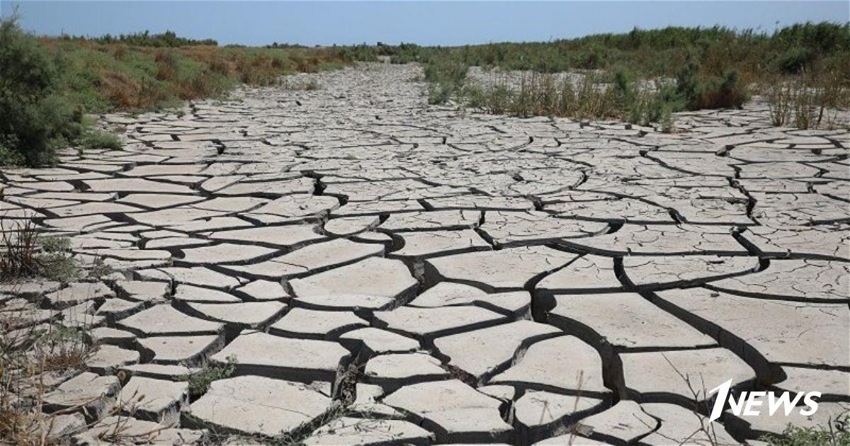 Погода засуха. Засуха. Засуха 2010 года. Пустыня засуха. Засуха во Франции.