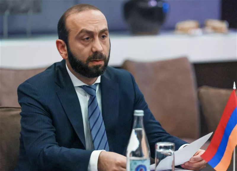 Глава МИД Армении встретился с представителем ОБСЕ