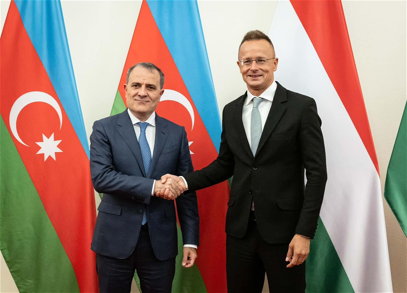Глава МИД Азербайджана встретился с венгерским коллегой