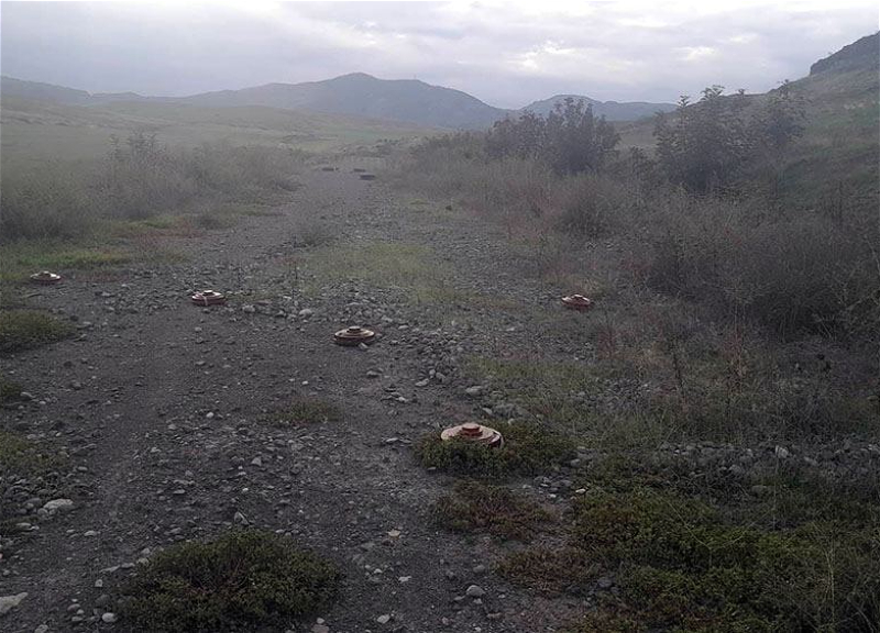 В Карабахском регионе Азербайджана обезврежены мины-ловушки - ВИДЕО