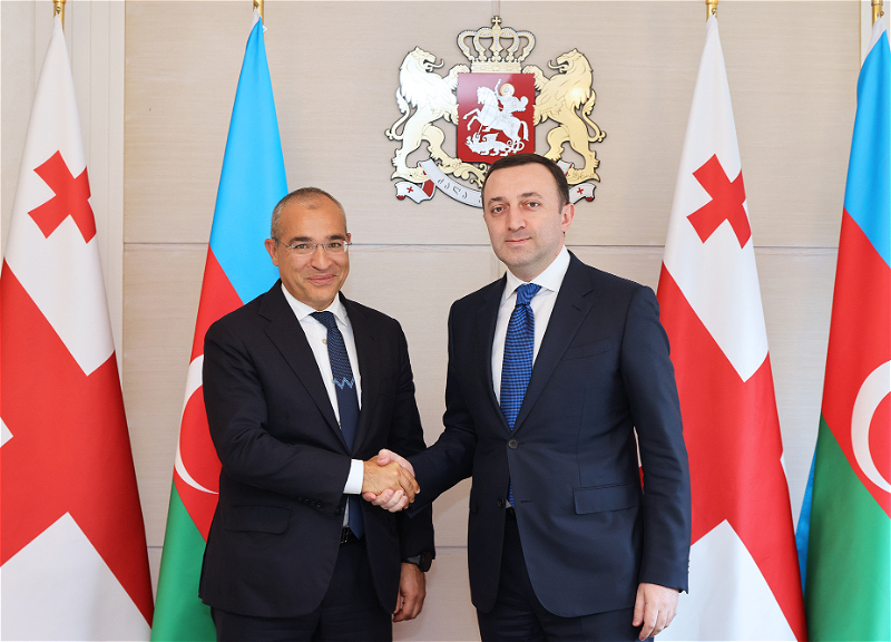 Премьер-министр Грузии принял министра экономики Азербайджана - ФОТО