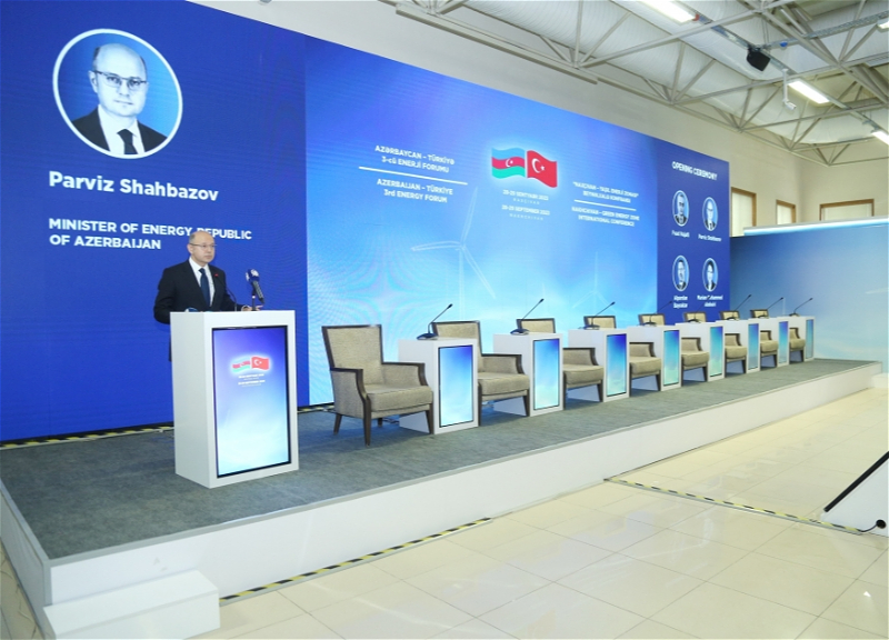 Парвиз Шахбазов: До конца года в Турцию планируется поставить 10,2 млрд кубометров азербайджанского газа