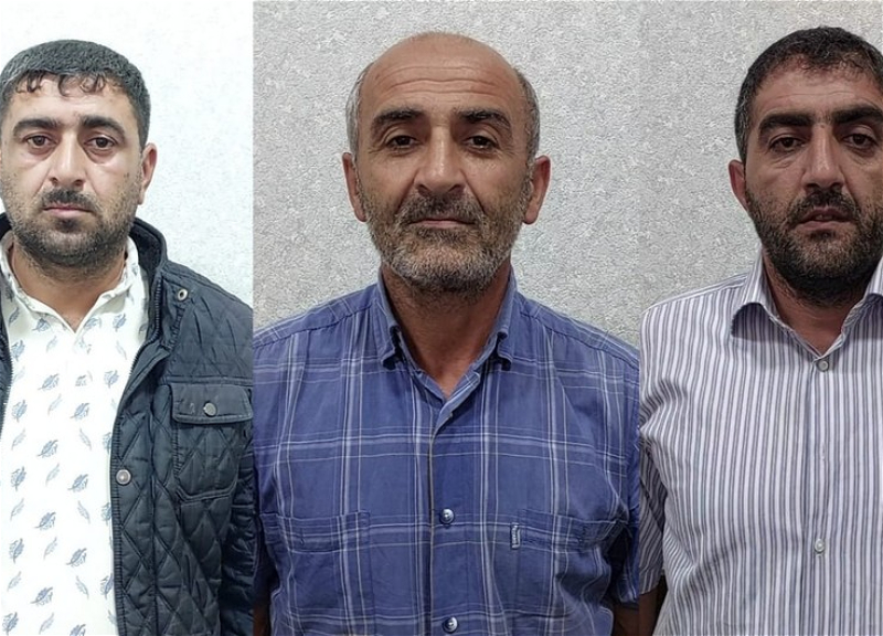 Lənkəranda meşədən mal-qara oğurlayanlar həbs edilib
