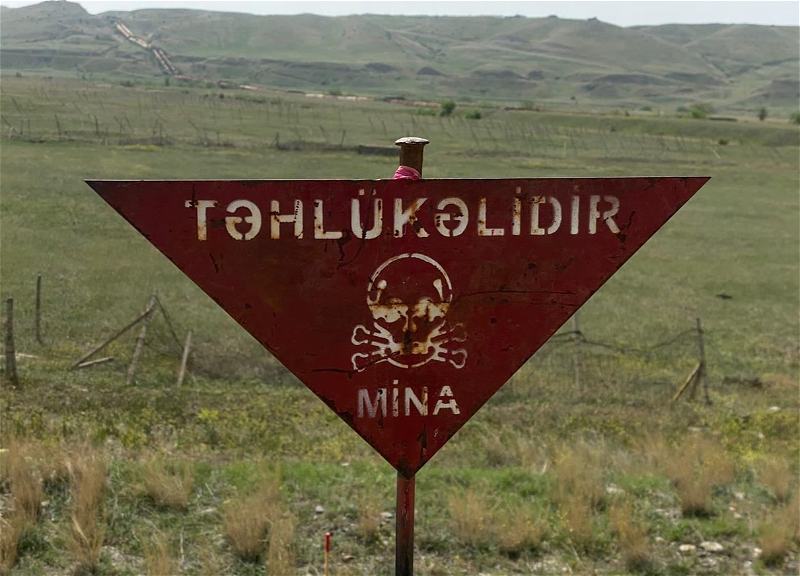 Azad olunmuş ərazilərdə ötən ay 689 mina aşkarlanıb