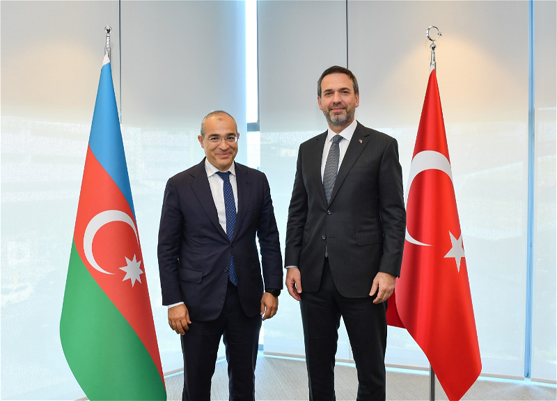 Обсуждено развитие энергетического сотрудничества с Турцией - ФОТО