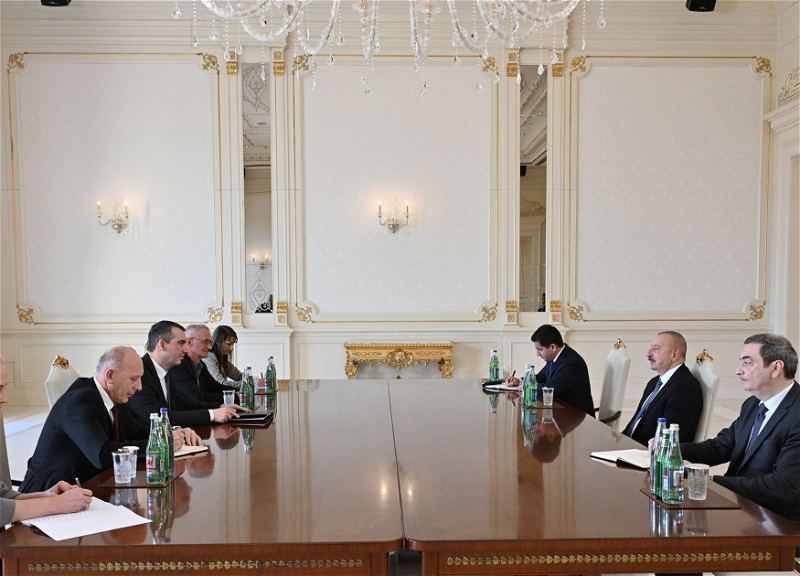 Ильхам Алиев принял председателя Национального собрания Сербии