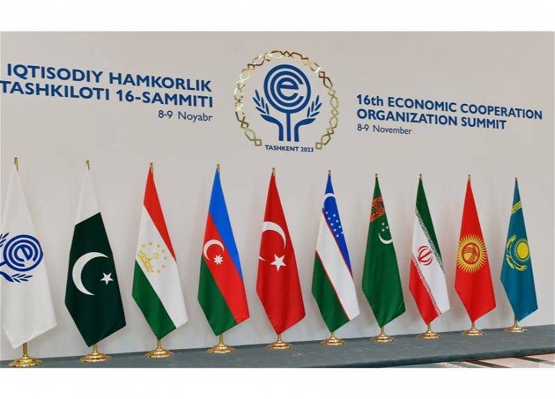 Азербайджан придает большое значение деятельности Организации экономического сотрудничества