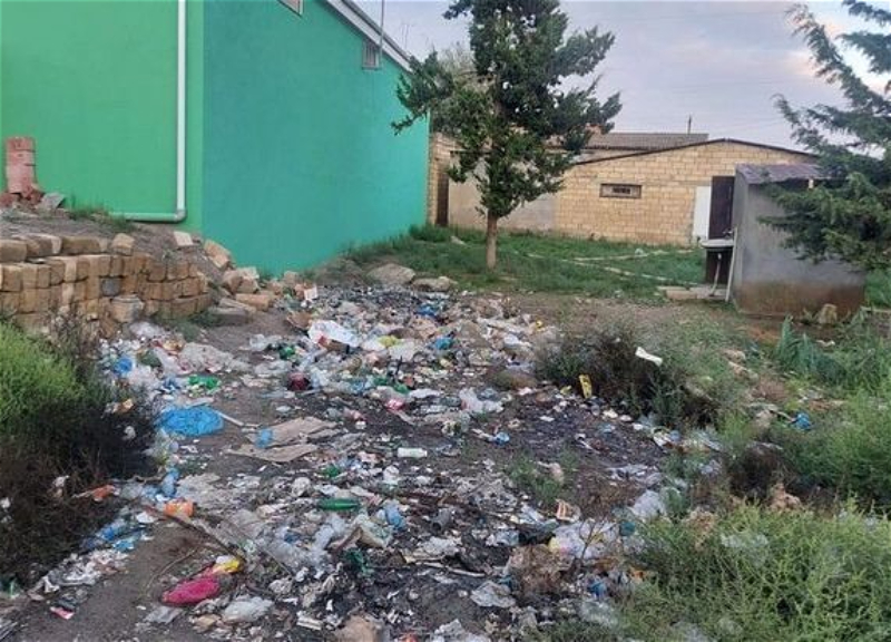 В Билясуварском районе привлечены к ответственности лица, загрязнявшие окружающую среду - ФОТО