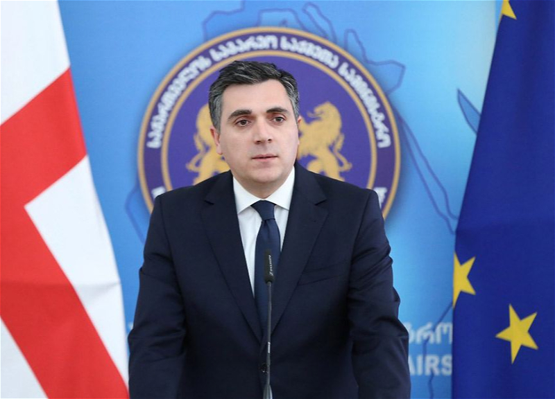 Глава МИД Грузии прокомментировал транзит через его страну вооружения для Армении