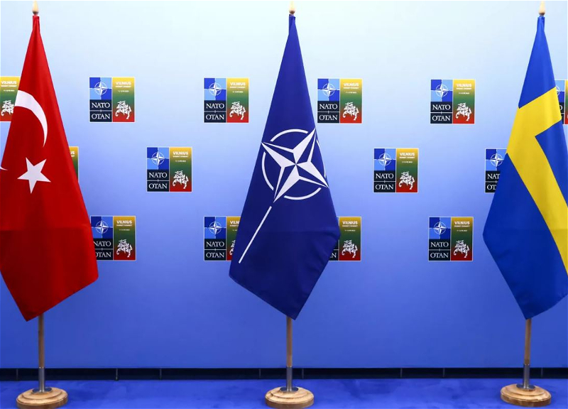 Турция до конца года может одобрить членство Швеции в НАТО