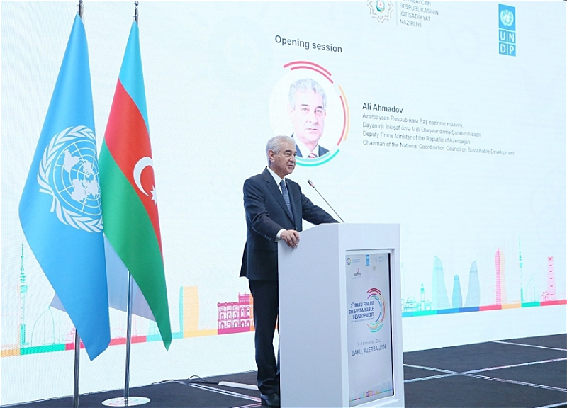 Заместитель премьер-министра: Азербайджан – одна из наиболее пострадавших от мин стран мира