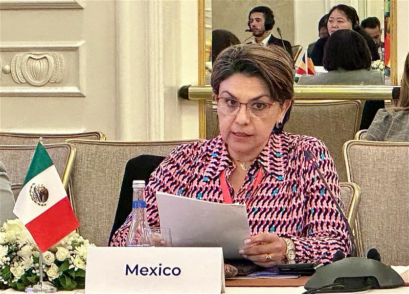 Виктория Ромеро: Мексика разработала обширные программы участия женщин в политике