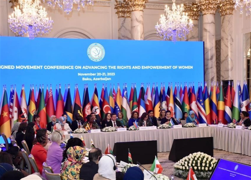 Участники международной конференции в Баку поддержали предложение о создании Женской платформы ДН