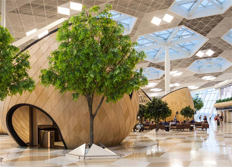 В Азербайджане изменился порядок пользования VIP-залами аэропортов