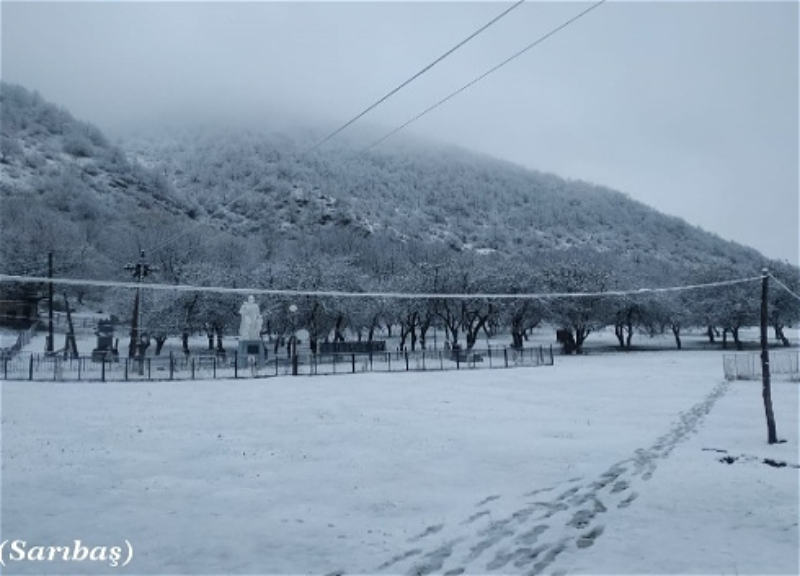 В Азербайджане выпал снег: В Загатале высота снежного покрова достигла 17 см – ФОТО – ВИДЕО